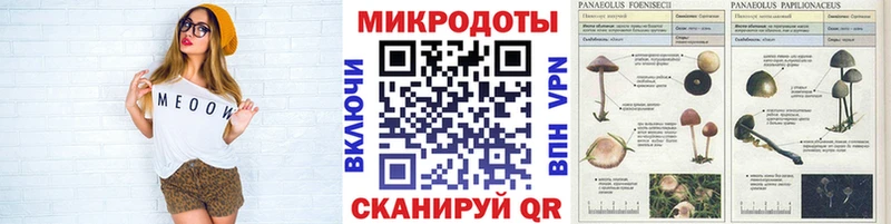 Галлюциногенные грибы GOLDEN TEACHER  MEGA как зайти  Сосенский 