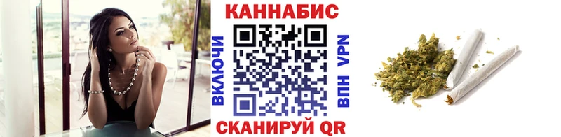 Конопля гибрид  где найти   Сосенский 